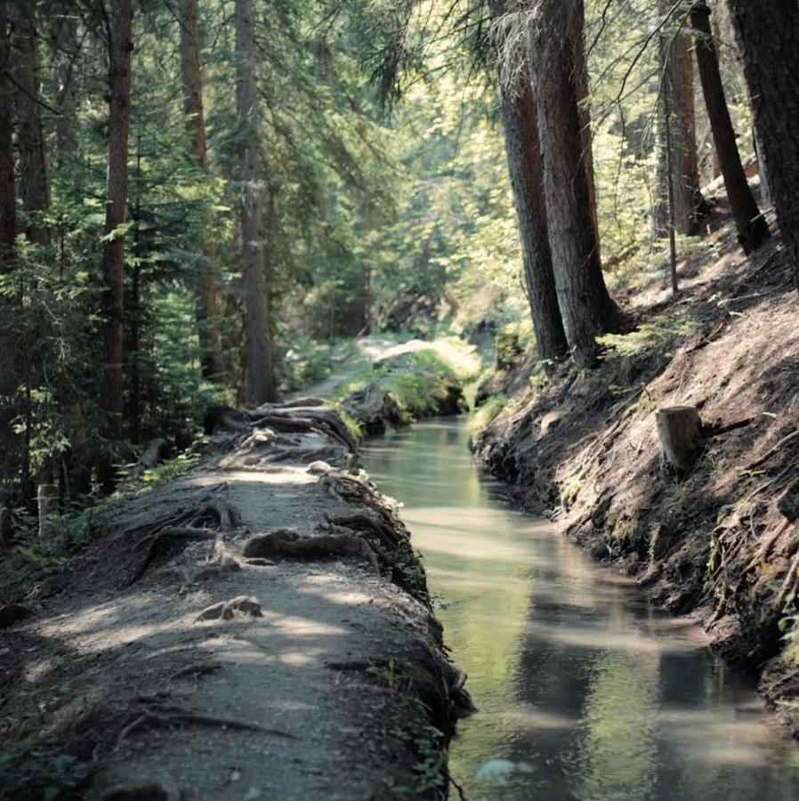 Woodland Village Anzere Ayent Zewnętrze zdjęcie